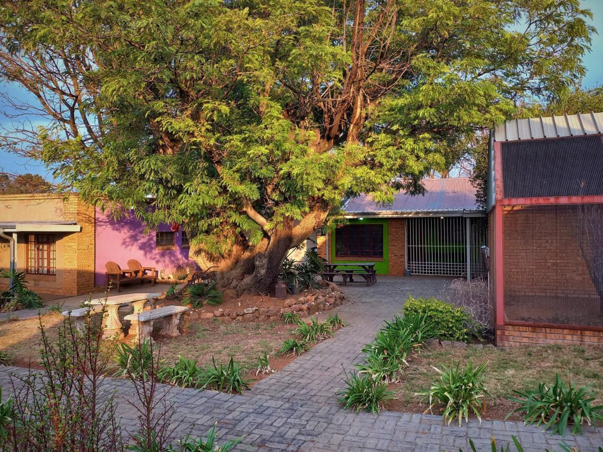 Backpackers Connection @ Jnb Airport Hostel Benoni Exterior photo